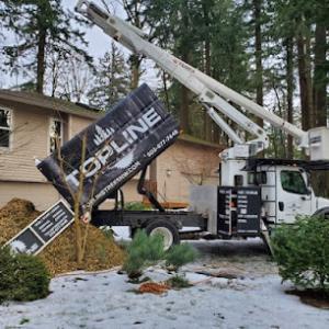 Topline Tree Service