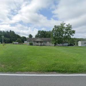 Jumping Branch Tree Services