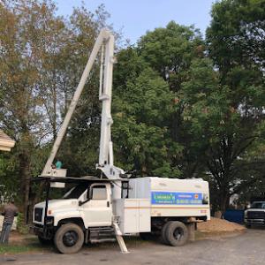 Chino's Tree Service