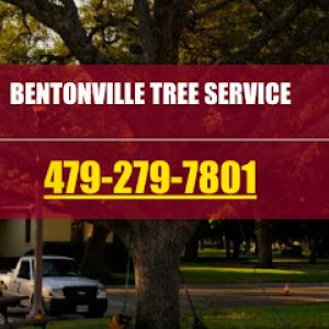Tree Service Bentonville