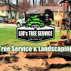 Leo’s Tree Service