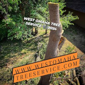 West Omaha Tree Service
