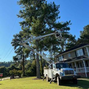 RG Tree Services