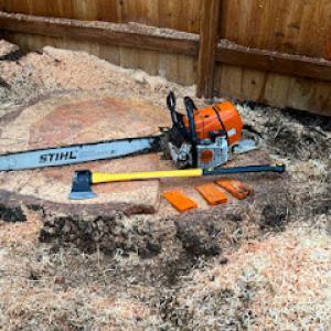 Sno King Stump Grinding