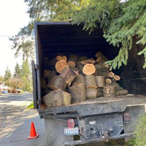 Green Nature Tree Service