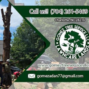 Gomez Tree Service
