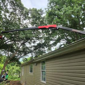 Jernigan Tree Experts