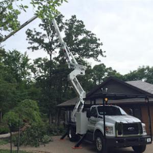Hendrickson Tree Care Company