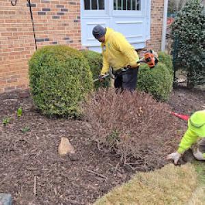The Top Team Lawn Care