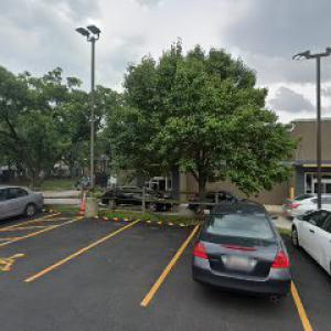 Junk Removal Service & Green Landscaping & more.