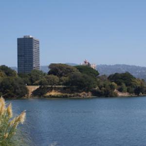 Tree Service Oakland