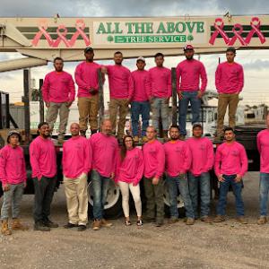 All The Above Tree Service