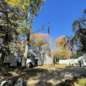 Prate's Tree Service