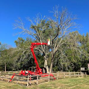 Riverside Tree Experts