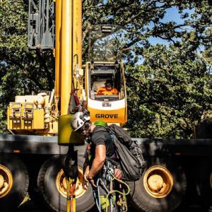 Urban Jacks Tree Service