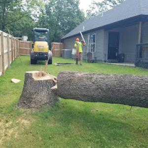 Superior Tree Service of NW Arkansas Springdale