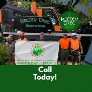 Kelley Tree Service