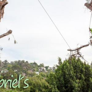 Gabriel´s Tree Service & Landscaping