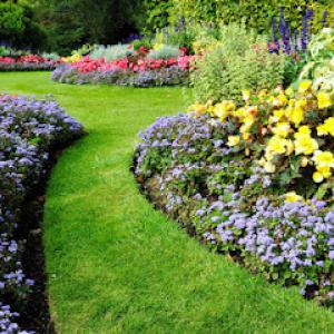 Blue Ring Residential Services