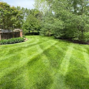 Line It Up Lawn Care