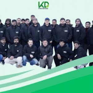 KD Tree Service Albany NY