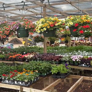 Nicks Family Garden Center