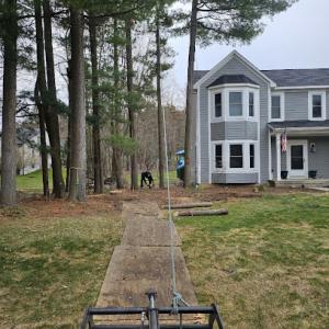 Logans Tree & Landscaping