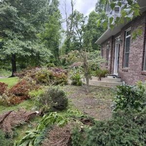 Integrity Tree Removal