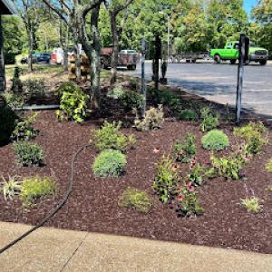 C&S Lawn & Landscaping