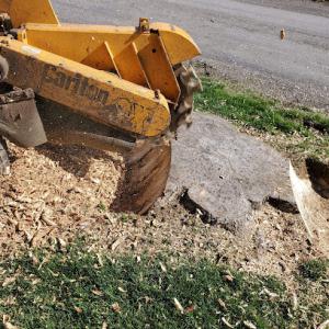 Bob Craigs Tree Service