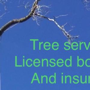 New Look Lawn & Tree Service
