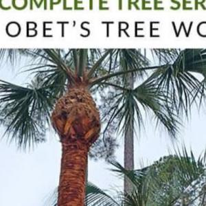 obet's tree work