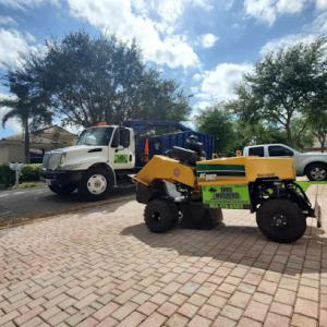 Tree Masters FL