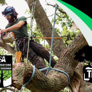 Corvallis Tree Care | Oregon Tree Company