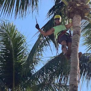 Spot Pond Tree Service Inc. ( Arborist)