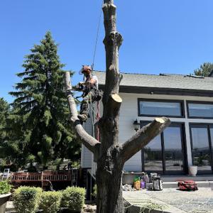 On The Block Landscape & Tree Service