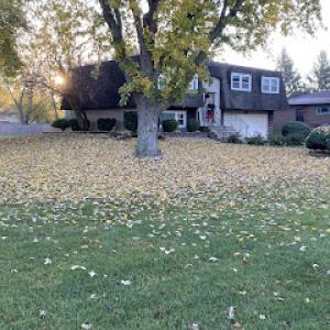 Riverside Management Services