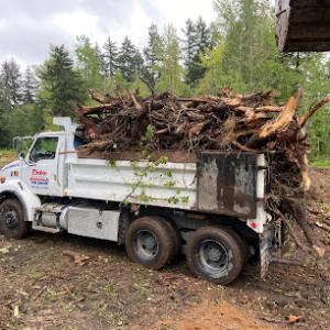 Bob's Property Solutions