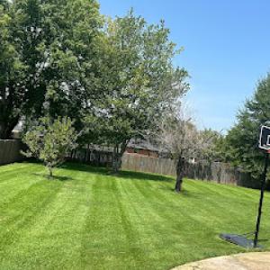 A&J Advanced Lawn Care Services