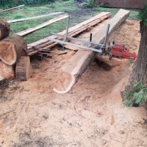 Pacific Ascent Tree Service