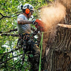 Blue River Forestry & Tree Care