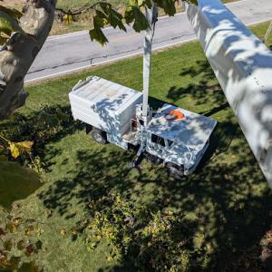 D. Moore Grind It Down