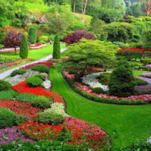 Designer Landscapes