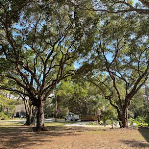 Pfeifer Tree Service