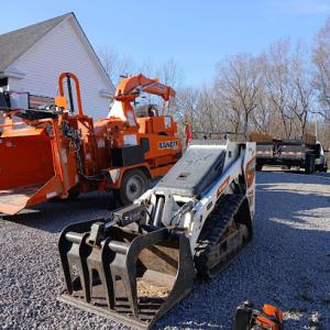 All Florida Tree Care