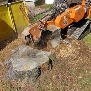 Woodchuck Stump Grinding