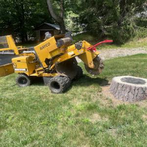 TB Stump Grinding