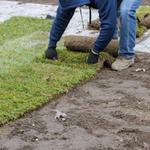 Lemus Landscaping Services