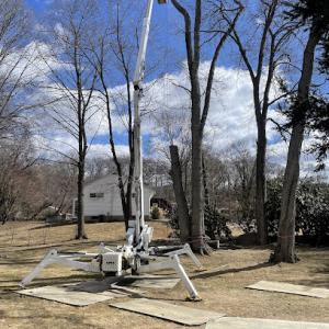 Bobby L Tree Service