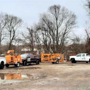 Diaz Tree Service & Landscaping CT